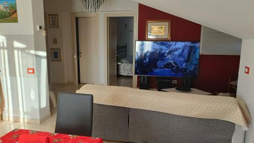 TV a/nebo společenská místnost v ubytování domus rosada