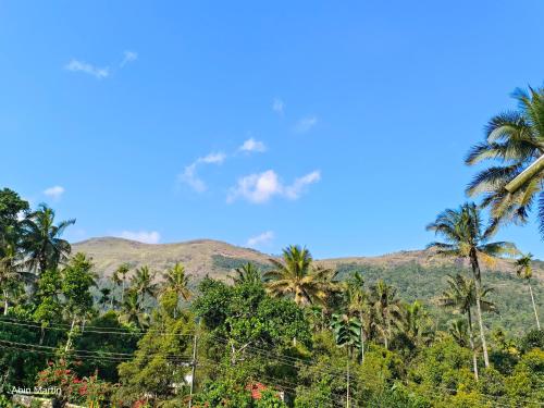 a group of palm trees and mountains with a blue sky at Accadio Residency in Kattappana