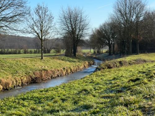a stream in a field with trees and grass at Ferienwohnung Weitblick in Erftstadt