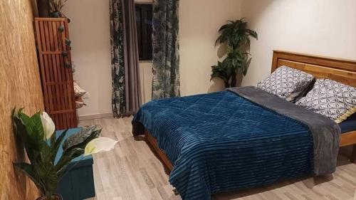 une chambre avec un lit avec une couette bleue dans l'établissement La Vie La Bien Etre, à Le Tampon