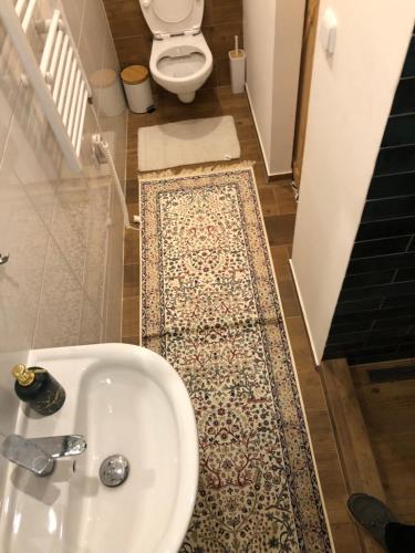 a bathroom with a sink and a toilet and a rug at Apartmány na Náměstí in Český Brod