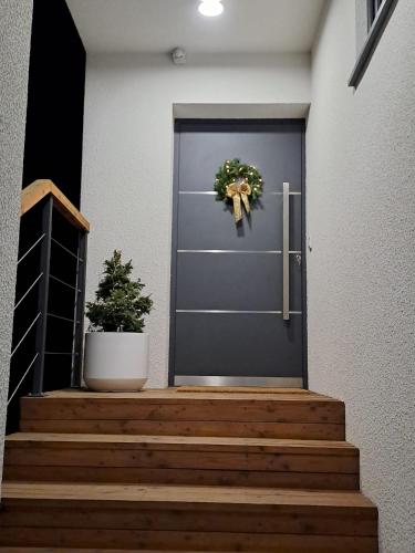 a blue door with two potted plants on the stairs at ArtApart in Strzelce Opolskie