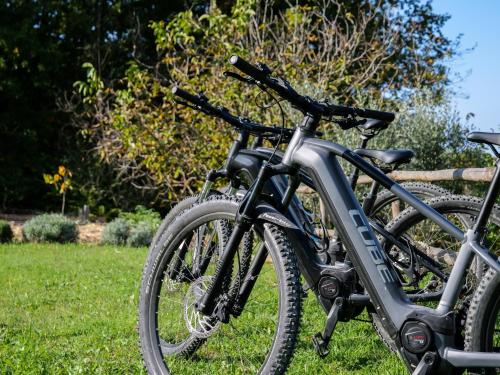 two bikes parked on the grass in a field at Oltrebosco Casa Vacanze in Valfabbrica