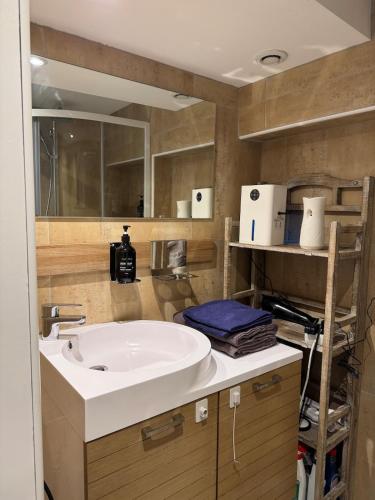 une salle de bain avec un lavabo blanc et un miroir dans l'établissement Aux Petits Oignons, à Albi