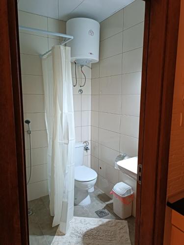 a bathroom with a toilet and a sink at Adamovic in Pirot