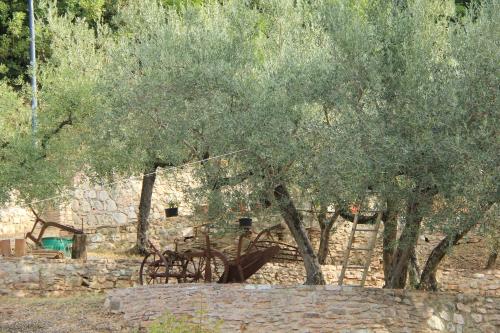 Gambar di galeri bagi Il renaiolo di Spello