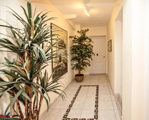 Gallery image of Arxontiko in Tinos Town