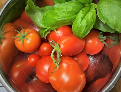 a pot filled with tomatoes and green spinach at Privelacker Paradiesgarten in Privelack