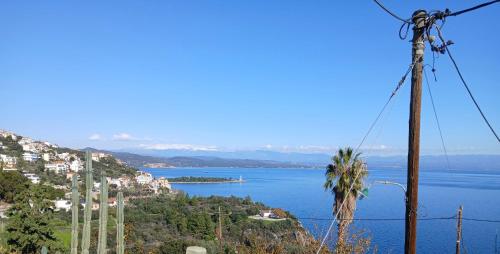 a view of a body of water with a palm tree at Malvazios Villas #3 in Gythio