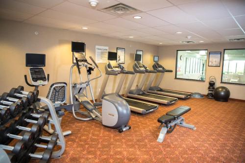 a gym with several treadmills and exercise machines at Holiday Inn Express & Suites Detroit - Novi by IHG in Novi