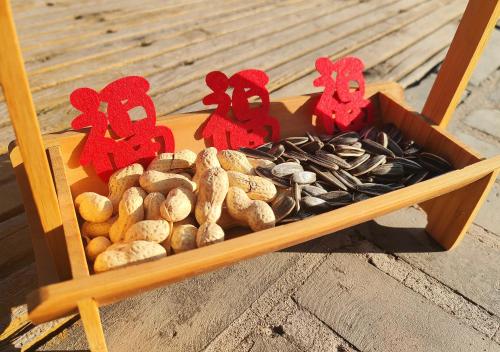 a wooden box filled with shells and red crabs at Hotel Cote Cour Deductive Beijing - Quadrangle close to Tiananmen Square & Forbidden City & Nanluoguxiang, Walk to Wangfujing, English speaking, Free WiFi, Free Laundry, Free Wonton & Noodles with Tour ticket service, Free selfies with ancient costume in Beijing