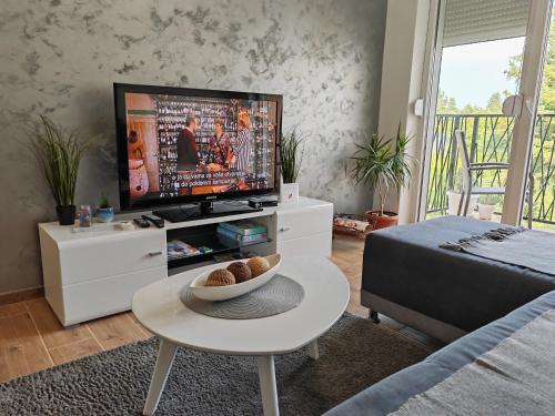 TV i/ili multimedijalni sistem u objektu Apartman ELIT Srebrno jezero