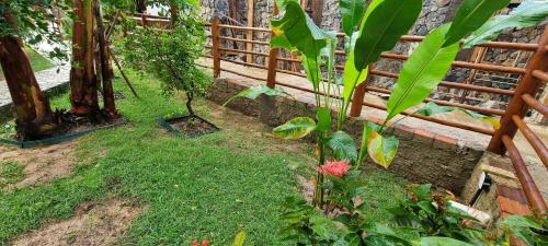 a garden with a fence and a pink flower at Casa de hóspedes Balibar Cumbuco in Cumbuco
