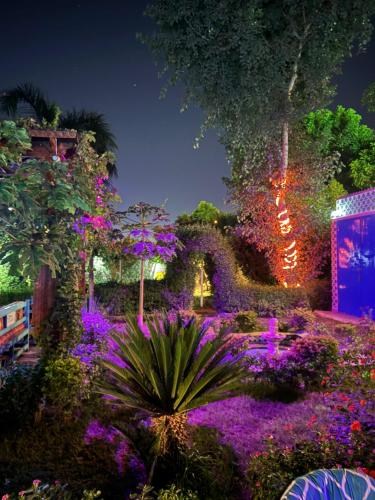 a garden with purple flowers and trees at night at Villa Barba Luxor in Luxor