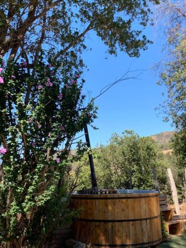 Un jardín fuera de El Encanto Colliguay