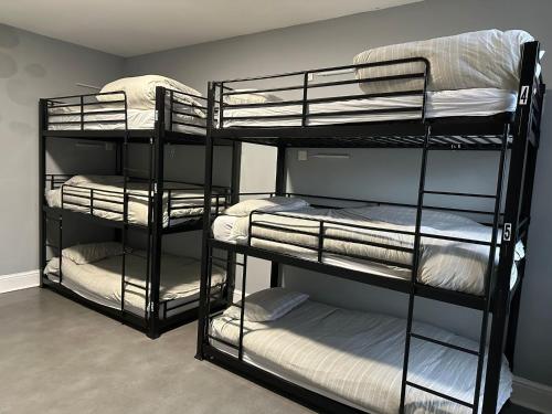 two sets of bunk beds in a room at Brownlows Inn Guest House formerly The King Harry Accommodation in Liverpool