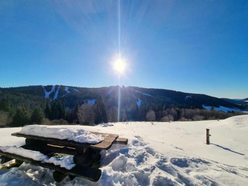 une table de pique-nique recouverte de neige devant une montagne dans l'établissement Chalet Dyna, luxe, calme et sérénité, à Gérardmer