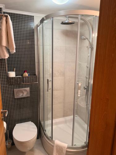 un baño con ducha y WC en Vila Anđelija, en Jahorina