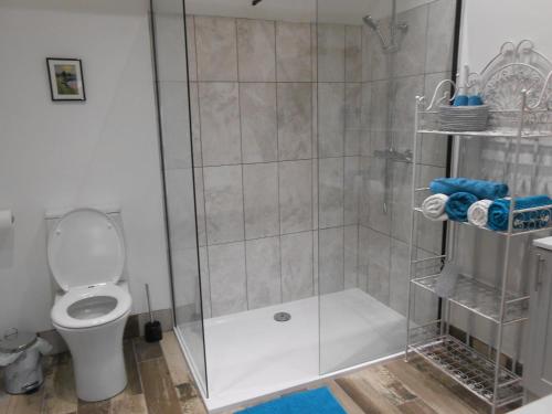 a shower stall with a toilet in a bathroom at Callwood Farm Annex Guest Rooms in Belper