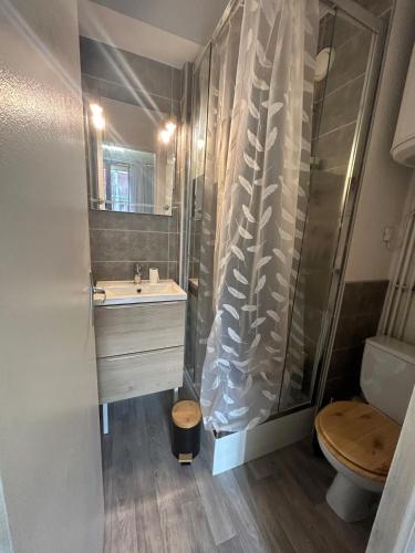une salle de bain avec un lavabo et une douche dans l'établissement Studio, à Vielle-Aure