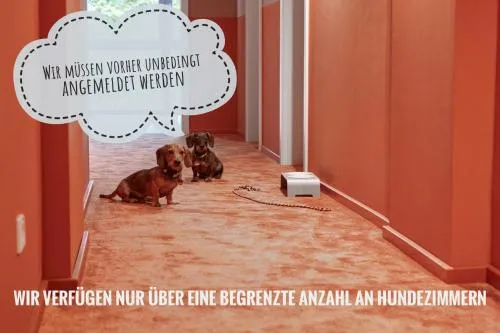 Just Eleven photo 10