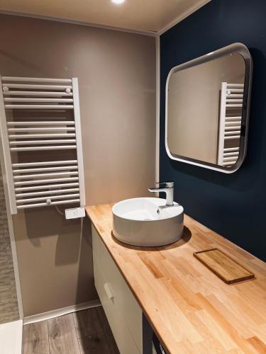 une salle de bain avec un lavabo et un miroir sur un comptoir dans l'établissement Traumhafte Lodge mit einzigartigen Meerblick, à Saint-Raphaël