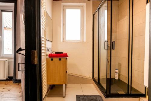 a bathroom with a shower and a sink at Bienvenue chez vous ! in LʼEstrade