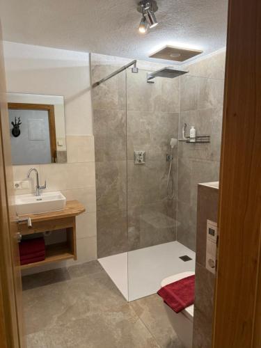 a bathroom with a shower and a sink at Nedererhof - Ferienwohnung Hoamat in Schmirn