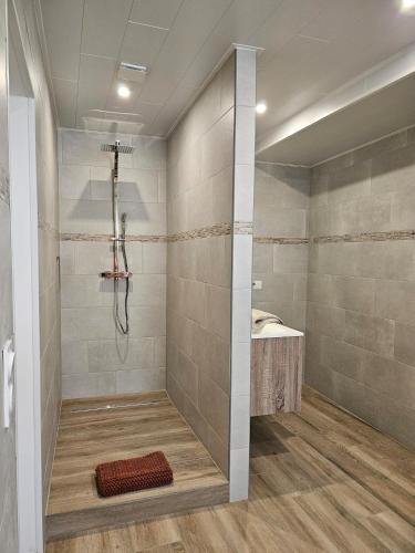 La salle de bains est pourvue d'une douche à l'italienne. dans l'établissement Chez Mamie Café, à Mouzon