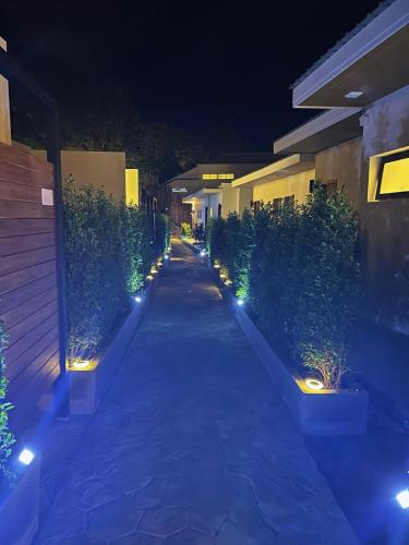 a pathway with plants and lights at night at Three Trees Samui Resort - Sarocha Villa in Lamai