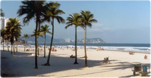 a beach with palm trees and people on the beach at Boas Vindas in Guarujá