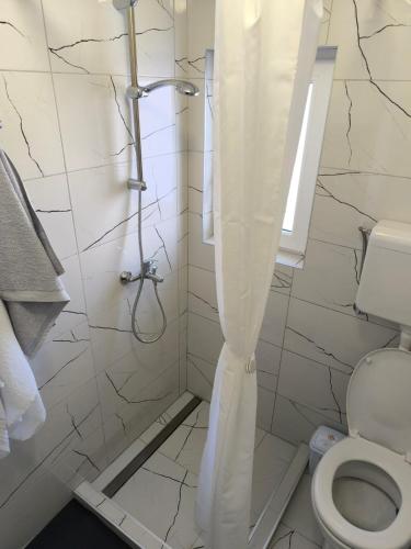 a bathroom with a shower and a toilet at Apartmani Doksas Degurić in Belić
