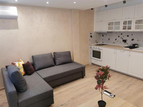 a living room with a couch and a kitchen at Airport Nest Belgrade in Novi Beograd