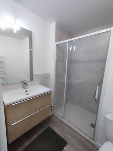une salle de bain avec une douche, un lavabo et des toilettes dans l'établissement Brand new, fully equipped, comfortable apartment, à Giberville