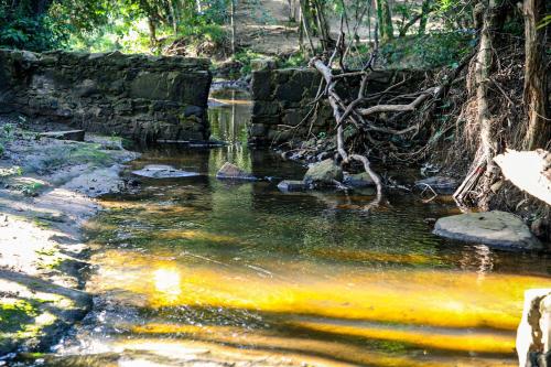 a stream in the middle of a forest at Hotel Sport Camping in Independencia