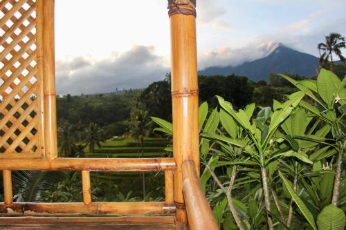 an open window with a view of a mountain at Dedari Lodge Jatiluwih Rice fields in Jatiluwih