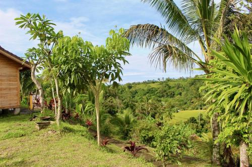 a view of a jungle with palm trees and a house at Dedari Lodge Jatiluwih Rice fields in Jatiluwih