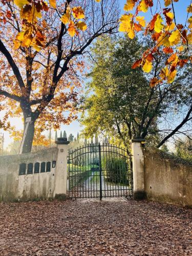 a gate in a park with leaves on the ground at Casa Bigallo - colline di Firenze in Bagno a Ripoli