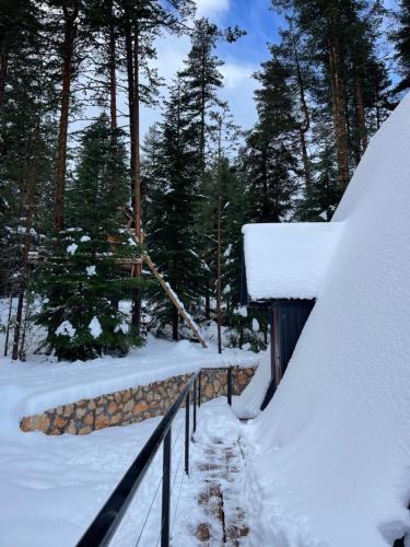 un sentiero innevato con una recinzione e degli alberi di Alpine Lodge a Žabljak