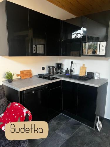 a kitchen with black cabinets and a counter top at Jeżówka i Sudetka in Jeżów Sudecki