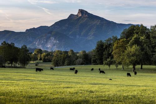 Naturlandschaft in der Nähe des Privatzimmers
