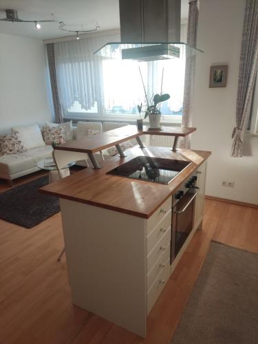 Η κουζίνα ή μικρή κουζίνα στο Ferienwohnung Sonnenfeld
