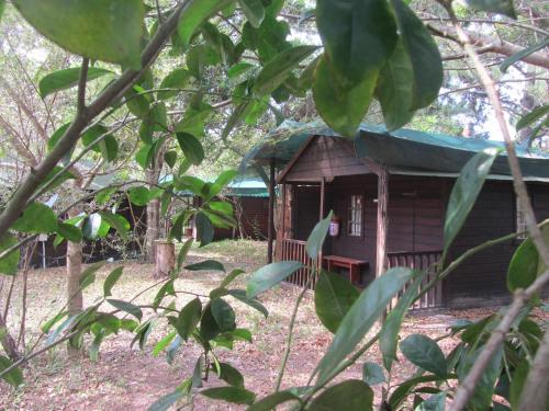 a small wooden cabin with a green roof at Toad Tree Cabins in Sodwana Bay
