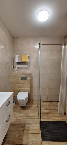 a bathroom with a toilet and a glass shower at Uroczysko nad Jeziorem Żywieckim in Zarzecze