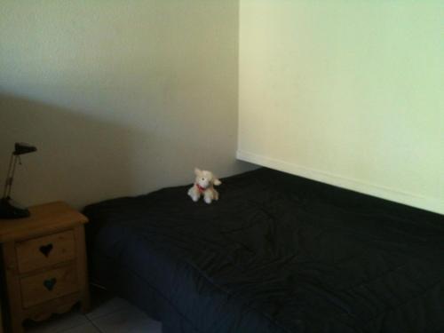 Pied de Piste, Ski Briançon !