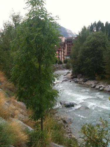 un arbre à côté d'une rivière devant un bâtiment dans l'établissement Pied de Piste, Ski Briançon !, à Briançon