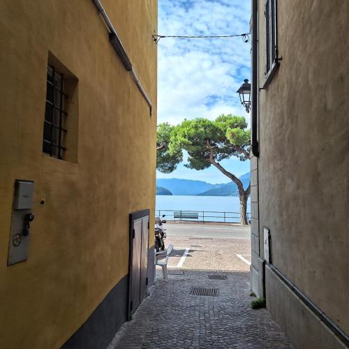 an alleyway between two buildings with a tree in the background at Villa Viva-Como in Domaso
