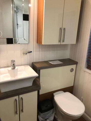 a small bathroom with a sink and a toilet at Woodland Lodge in Plumbland