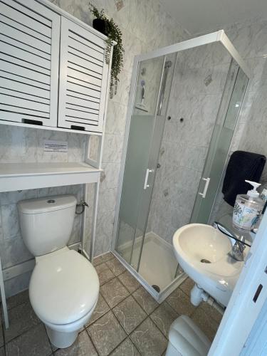 une salle de bain avec toilettes, douche et lavabo dans l'établissement La Loge de Beauval maisonnette proche Zoo, à Seigy