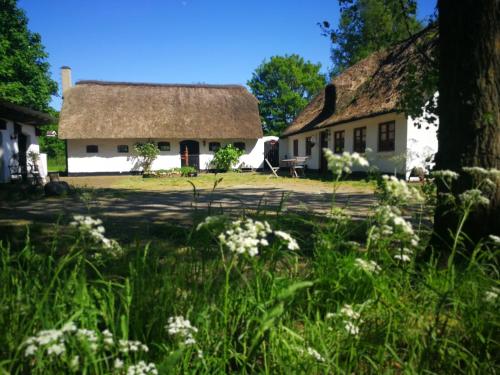 Vườn quanh Gemütliches Reetdachhaus mit Kaminofen